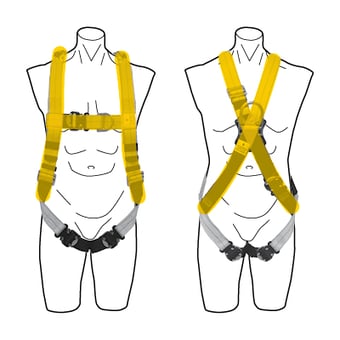 Harness Styles-Graphic