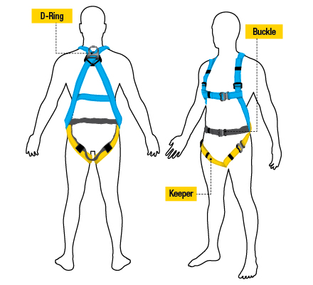 Safety Harness-Graphic